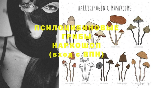ГАЛЛЮЦИНОГЕННЫЕ ГРИБЫ Протвино